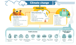 Entre 2030 et 2050, on compterait près de 250 000 décès climatiques supplémentaires par an